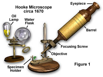 As partes de um microscópio de Hooke