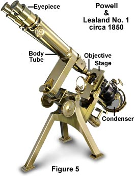 Diagrama das partes de um microscópio Powell & Lealand