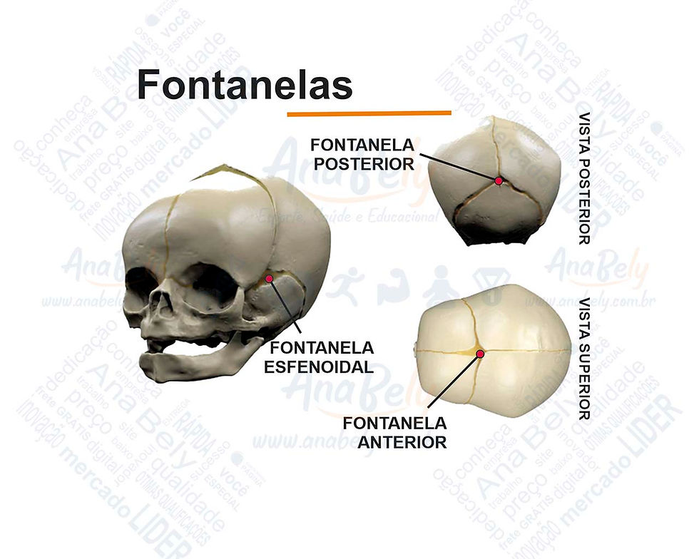 Fontanelas
