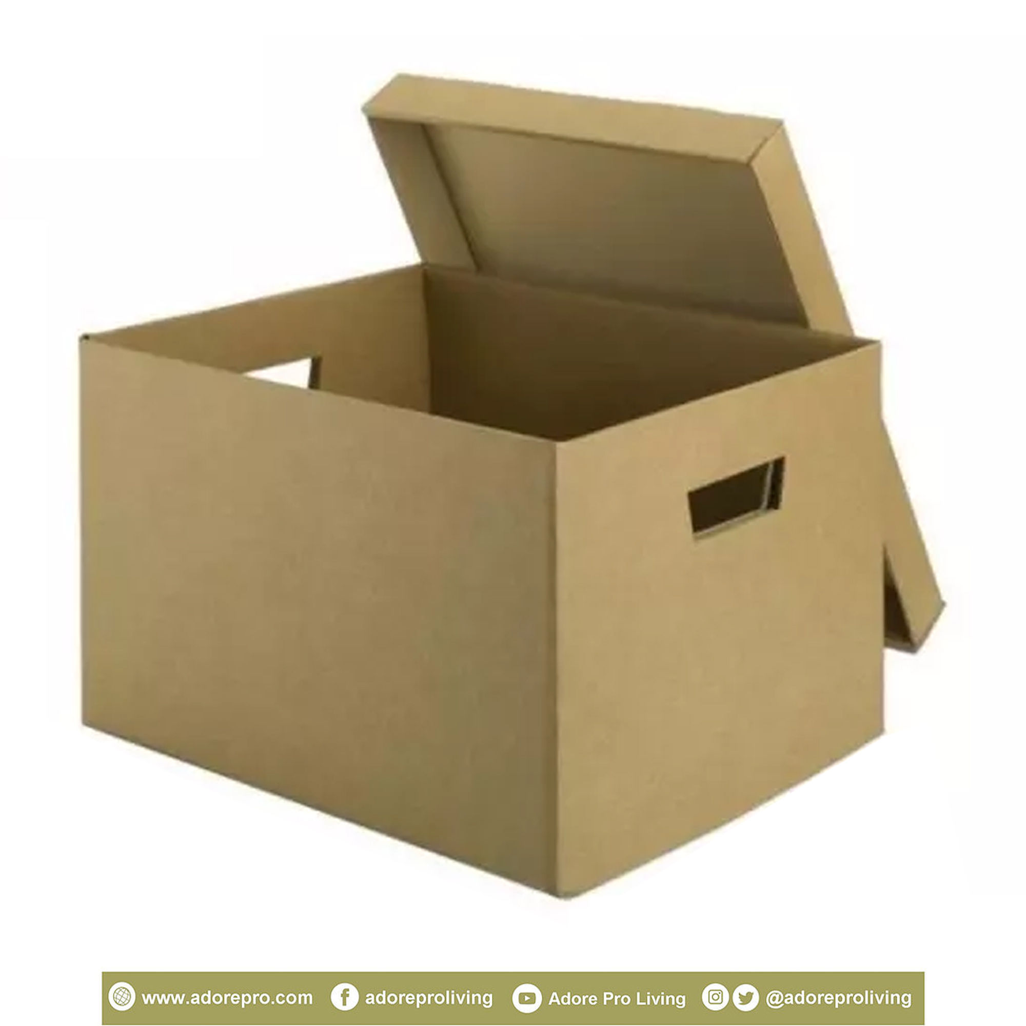 Storage File Box / 12 X 16 inches / Brown