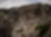 DSC01362.jpg