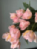 Thumbnail: Tulip Dreamer (double), stem