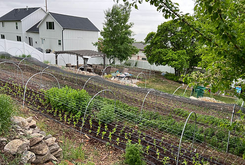 Foothill Farm Flowers