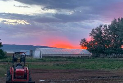 Sweet Pea Farm & Orchard