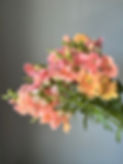 Thumbnail: Snapdragon, Chantilly Light Salmon w22