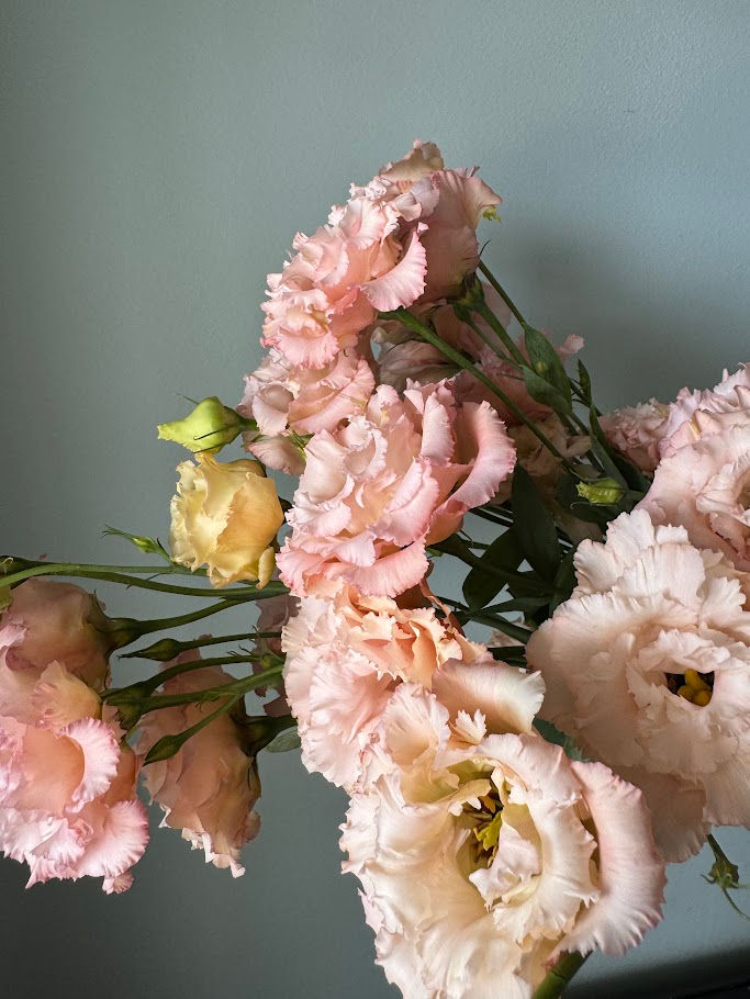 Thumbnail: Lisianthus Voyage 2 Light Apricot, stem