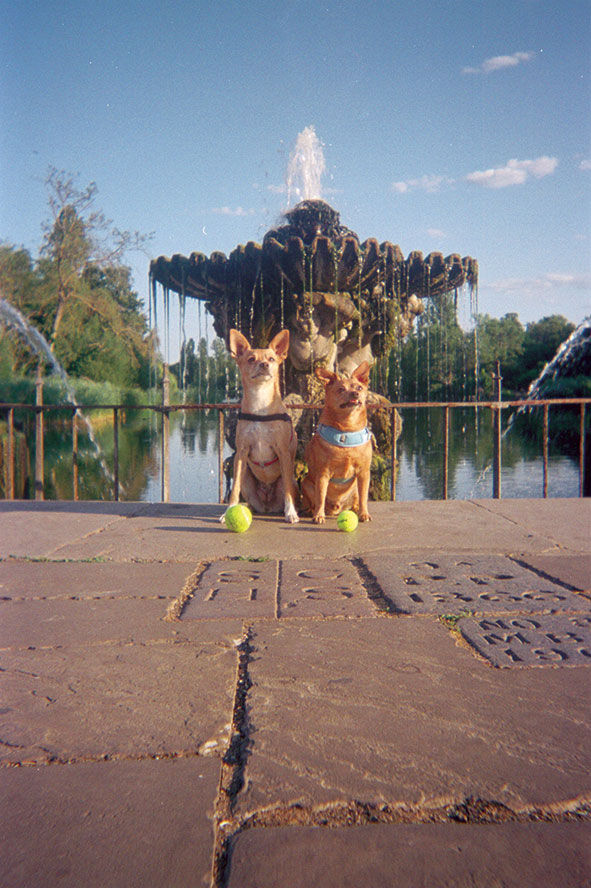 Photo 103