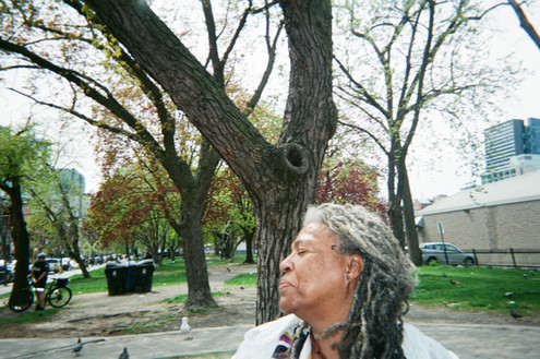 Dreaming with Trees, Toronto, by Roberta