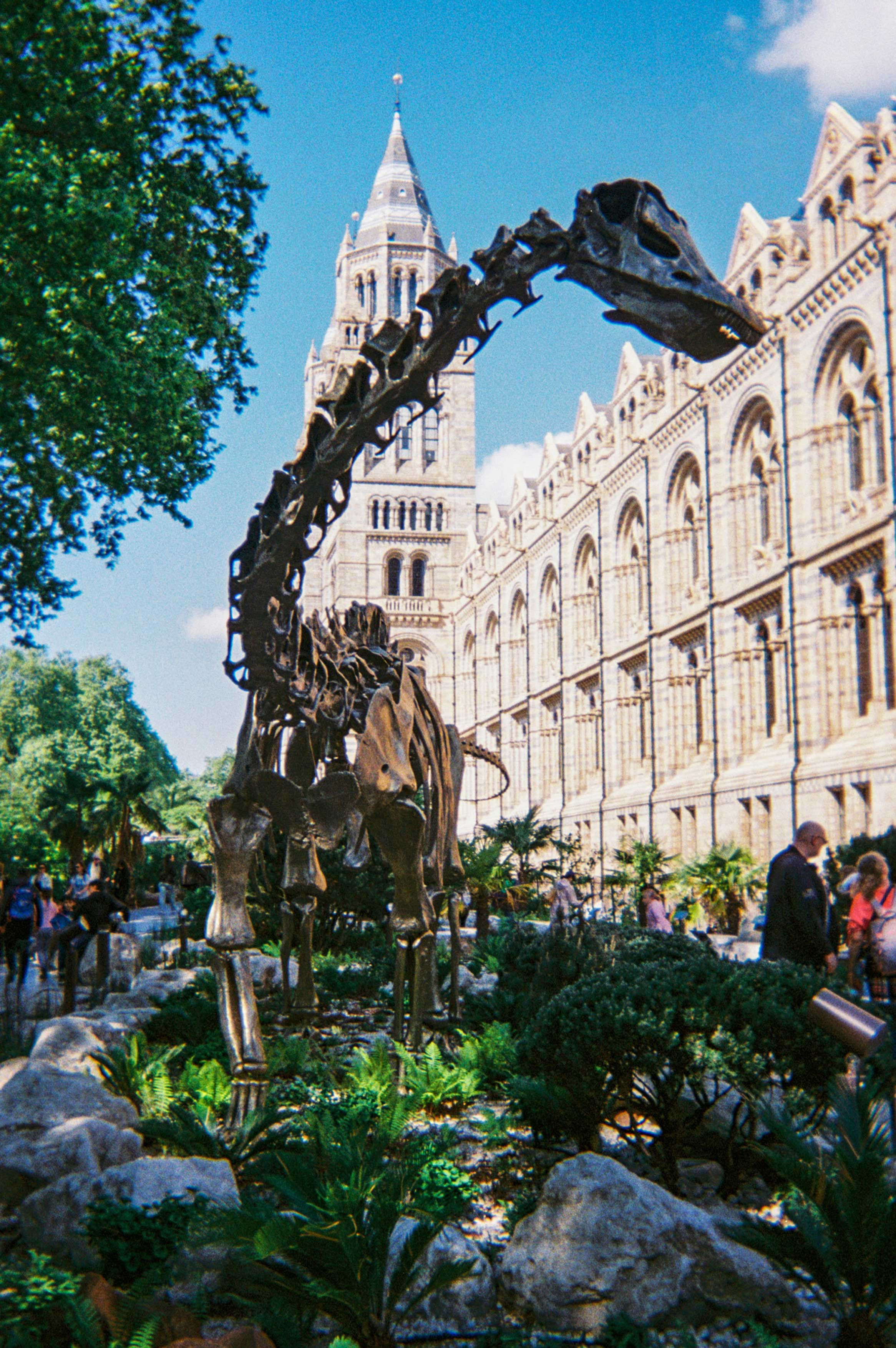 Dinosaur, Natural History Museum, South Kensington