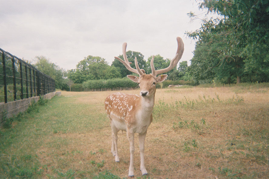 Photo 033