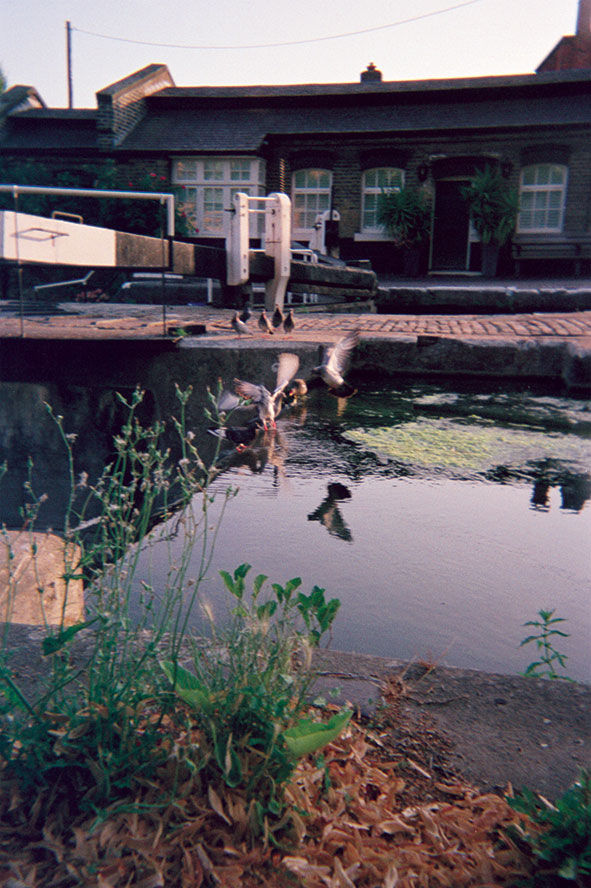 Photo 128