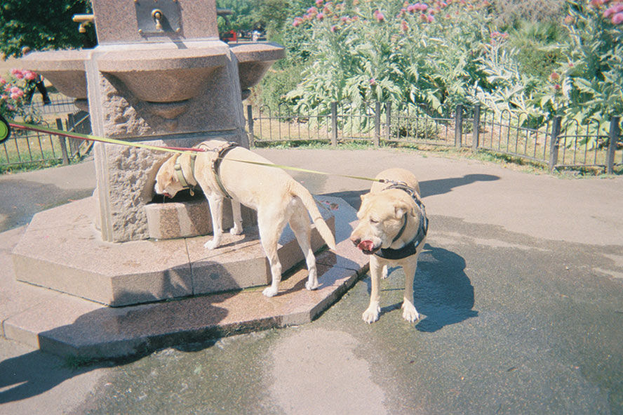 Photo 095