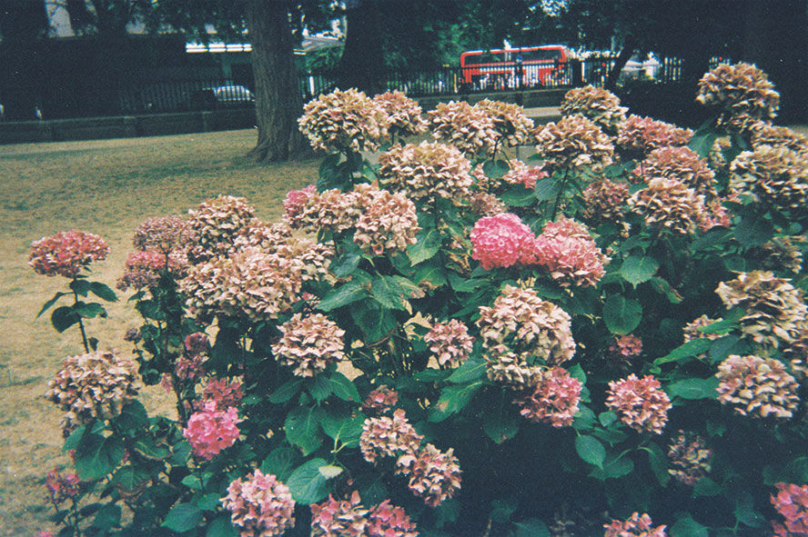 Photo 032