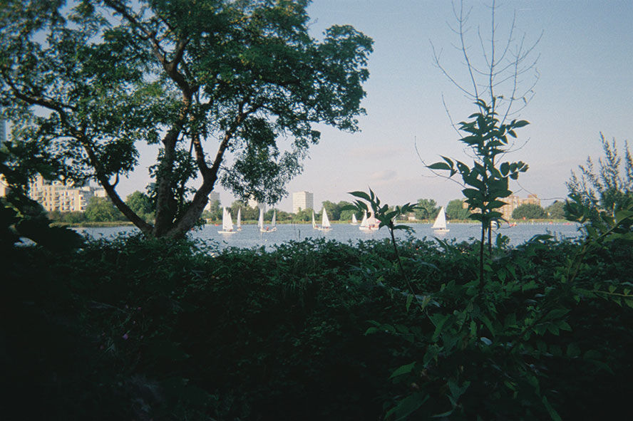 Photo 001