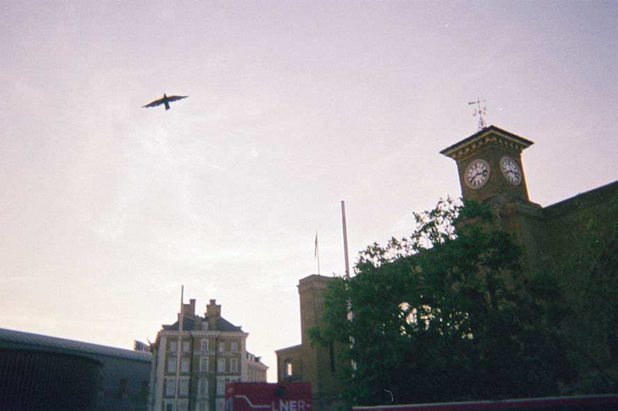 Photo 010