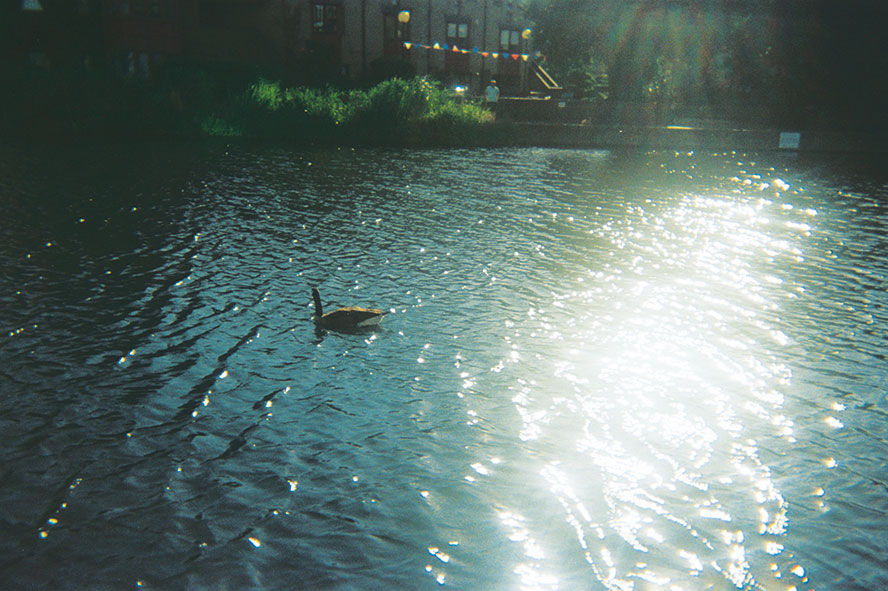 Photo 110