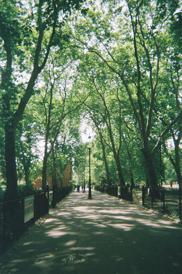 Photo 015