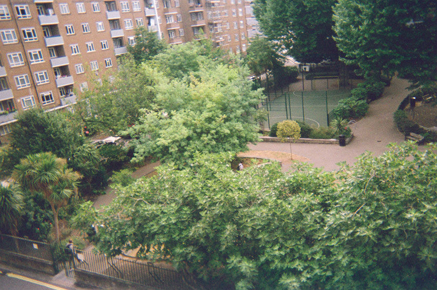Photo 087