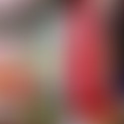 Geraldine describes the MYLONDON January 2022 photo