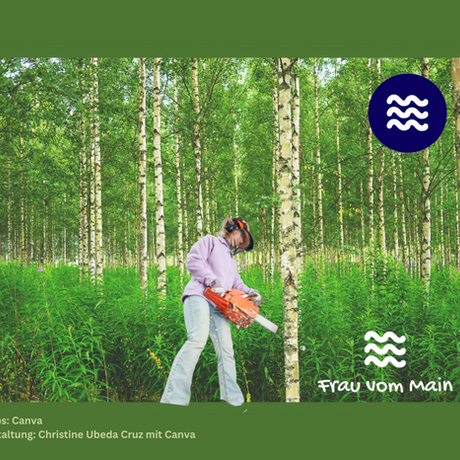 Mein Feind, der Baum, lebt. NOCH!