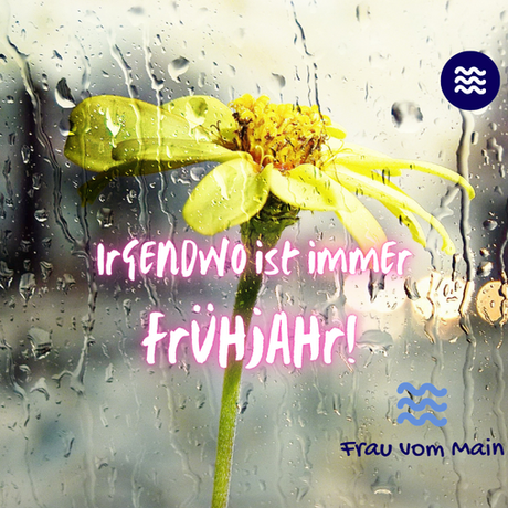 Irgendwo ist immer Frühjahr!