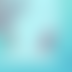 Aus der Haut fahren – oder – Schluss mit nett!