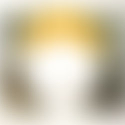 Die weiteren Aussichten: Zuversichtlich