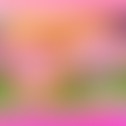 Chopped oder smashed - das soll lecker sein! Echt jetzt …