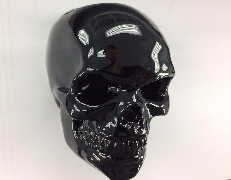 Thumbnail: The Bonehead Blinkers - Side Mount