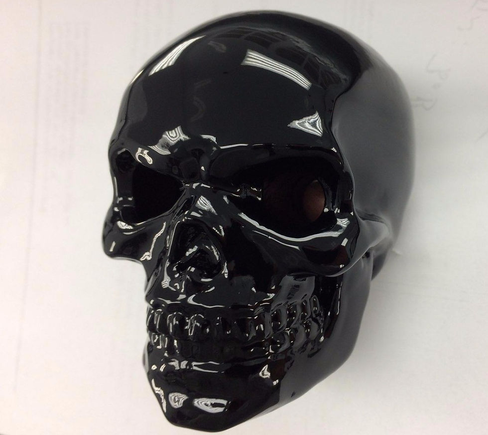 Thumbnail: The Bonehead Blinkers - Side Mount
