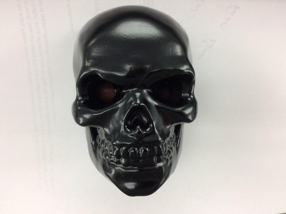 Thumbnail: The Bonehead Blinkers - Side Mount
