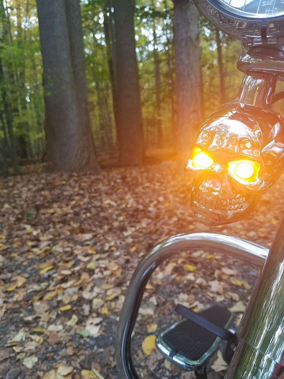 Thumbnail: The Bonehead Blinkers - Side Mount