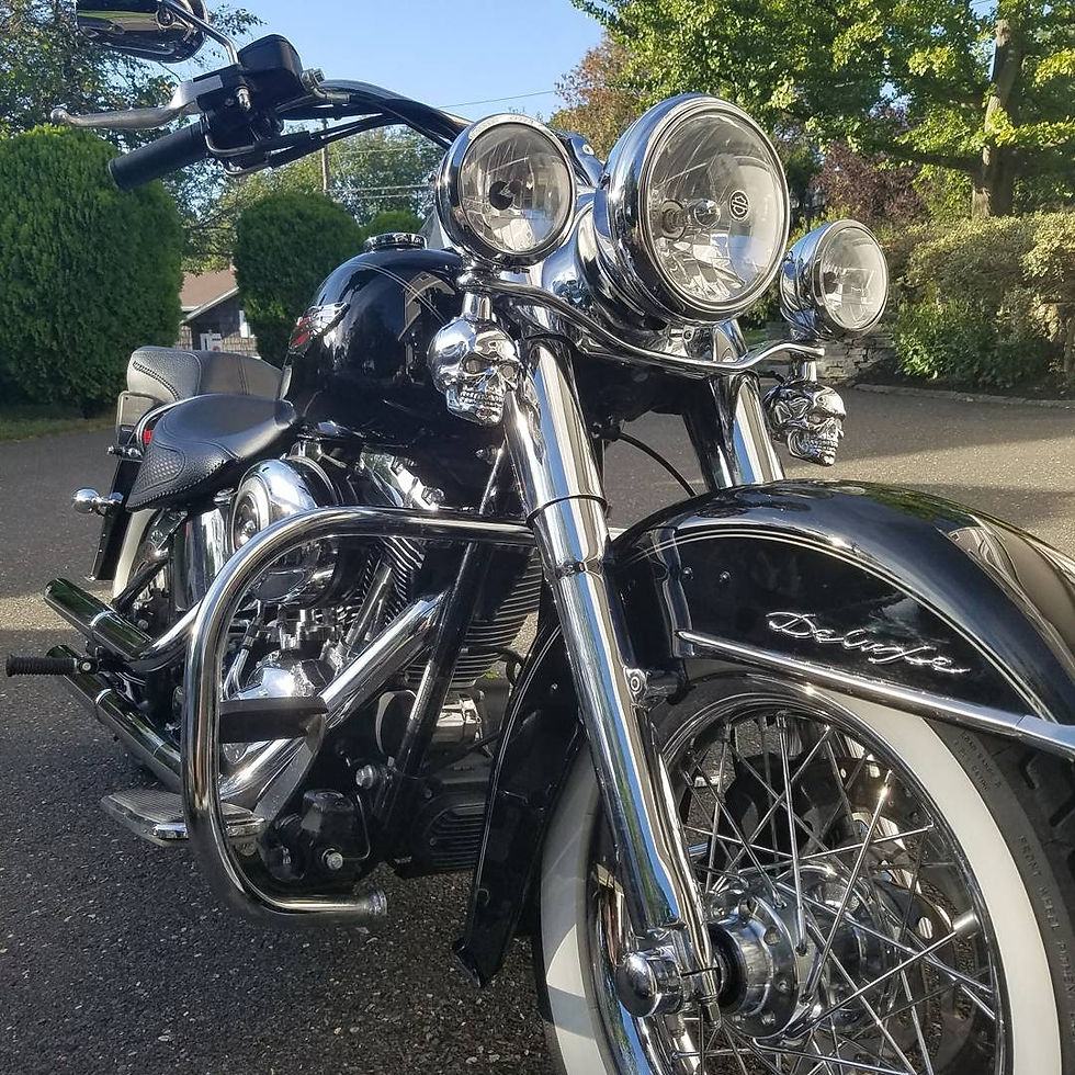 Thumbnail: The Bonehead Blinkers - Top Mount