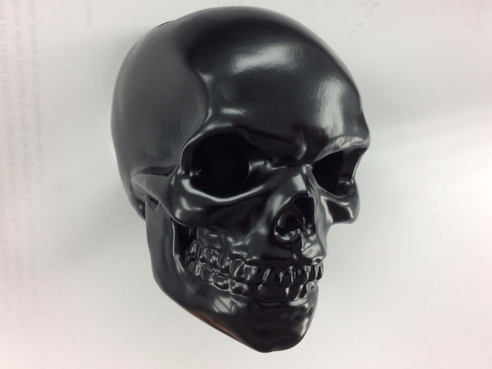 Thumbnail: The Bonehead Blinkers - Side Mount