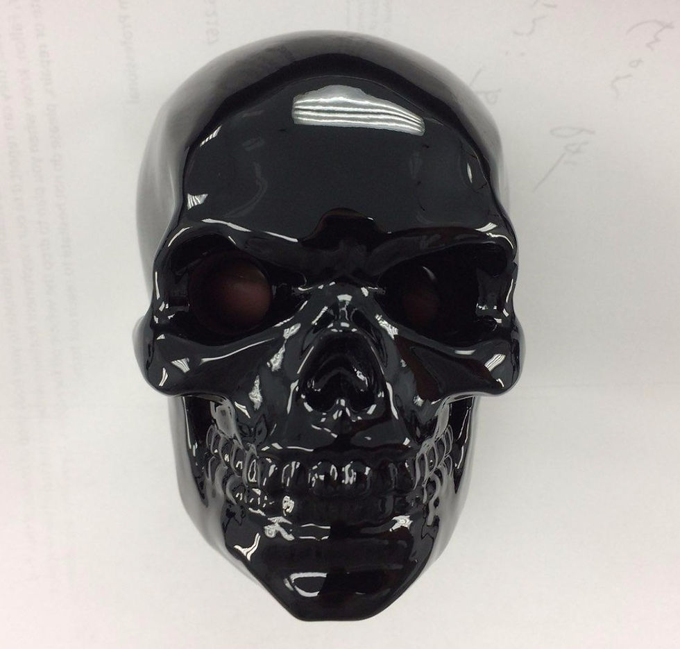 Thumbnail: The Bonehead Blinkers - Side Mount
