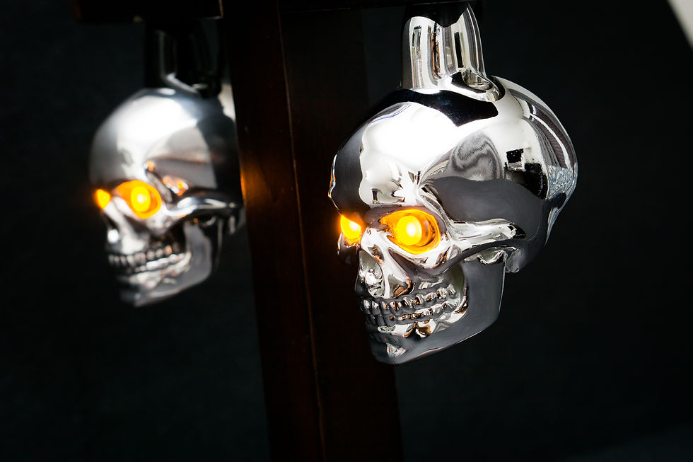 Thumbnail: The Bonehead Blinkers - Side Mount