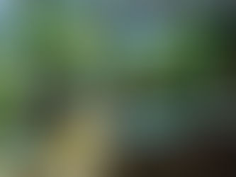 Verão em SC movimenta turismo também na Capital dos Cânions