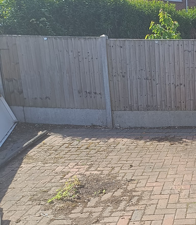 Garden area before bespoke timber shed construction in Bedford
