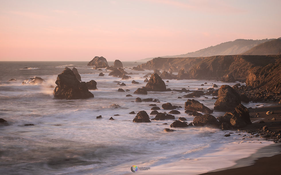 Bodega Sunsets | Bodega Bay