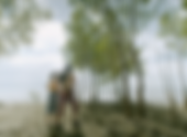 Hilum Review | Film Reviews
