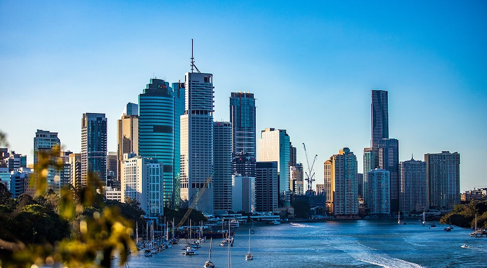 Dog Behaviourist in Brisbane