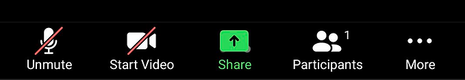 6557ce85646d66921a22ed13_Screenshot-of-Zoom-mute-button.png