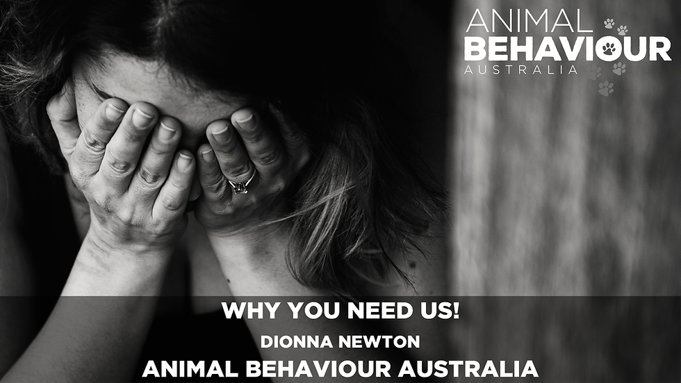 Why You Need Us! Animal Behaviour Australia