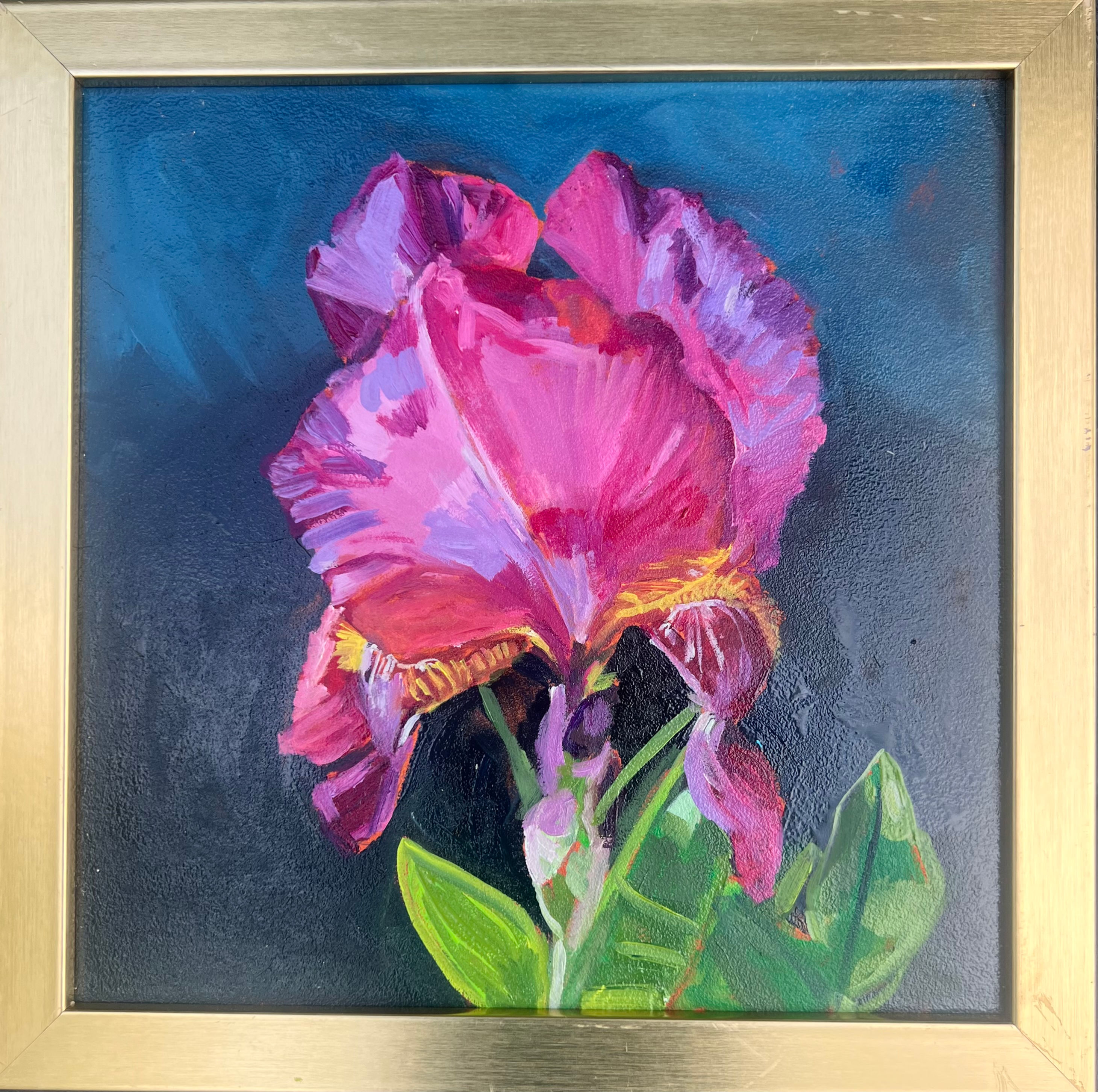 Purple Iris