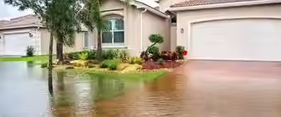 556272_d8892ddd0fce44f7b206a23488f24ddc~mv2