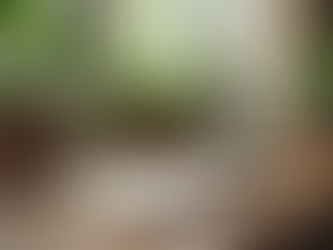 Effective Wellness Strategies: Health and Wellness Solutions for All