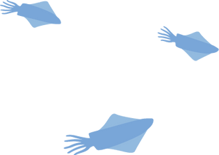 週週市-04.png