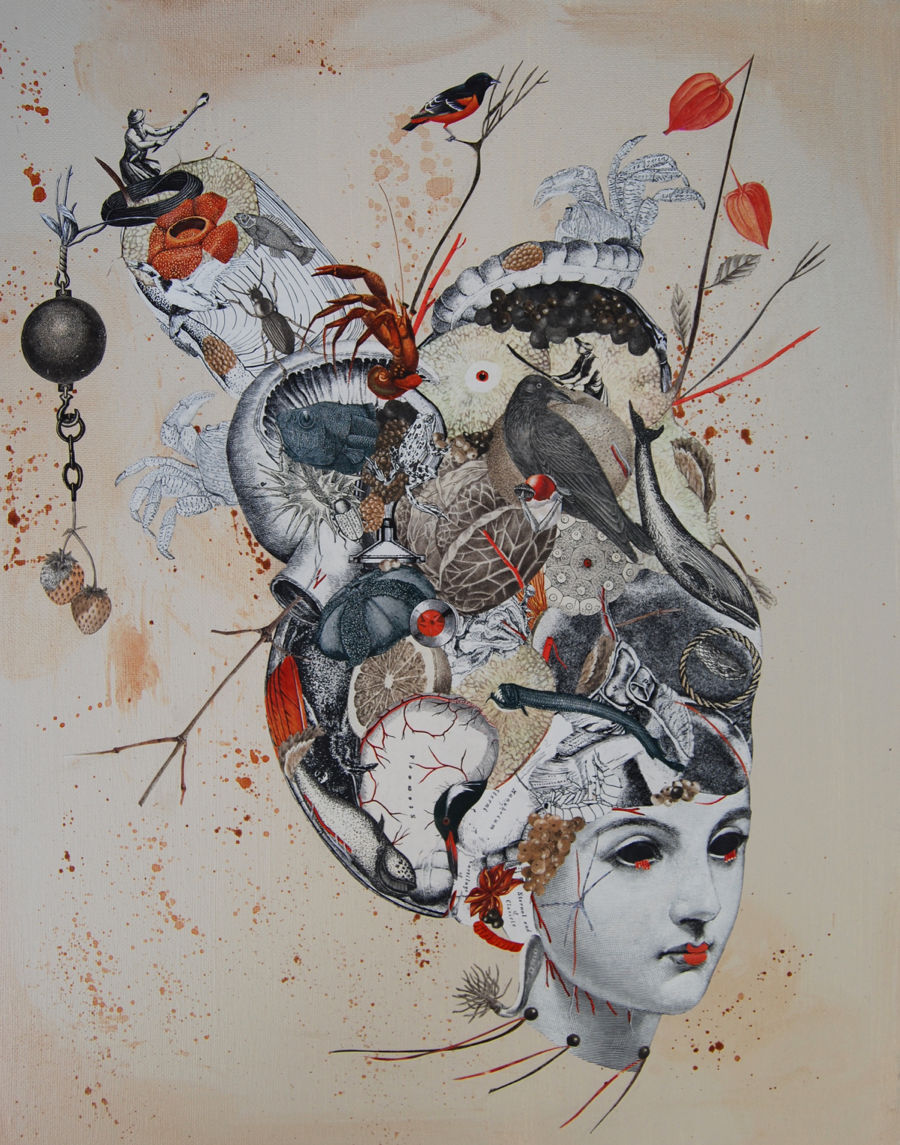 collage old fashioned doll face with botanical and anatomical illustrations