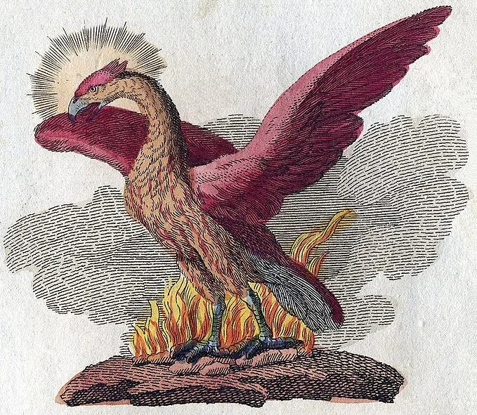 engraving of a phoenix bird standing in fire