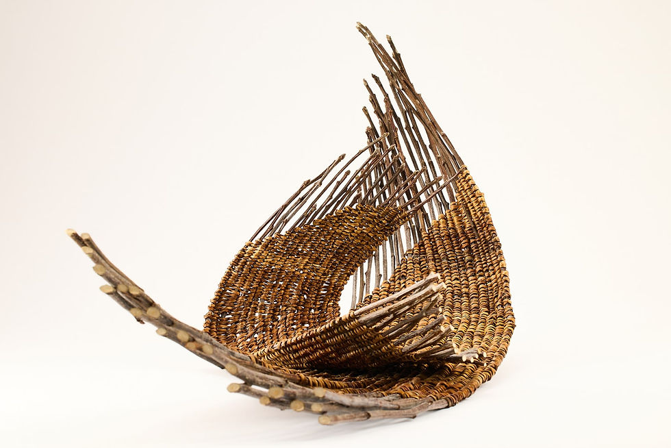 two woven arc forms made of apple twigs and bindweed